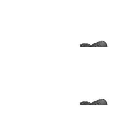 Vector Optics Veyron 6-24x44IR SFP kompakt kikarsikte för gevär